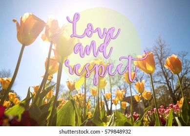 Images Of Yellow Flowers With Quotes Images Stock Photos Vectors