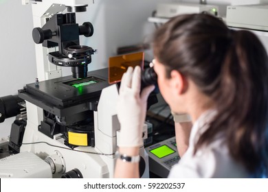Life science female researcher microscoping in scientific genetic laboratory. Healthcare and biotechnology.