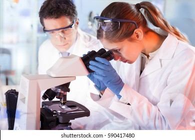 Life scientists researching in laboratory. Female young scientist and her post doctoral supervisor microscoping in their working environment. Health care and biotechnology.