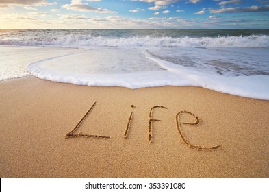 Life word on the sea sand. Conceptual nature design.