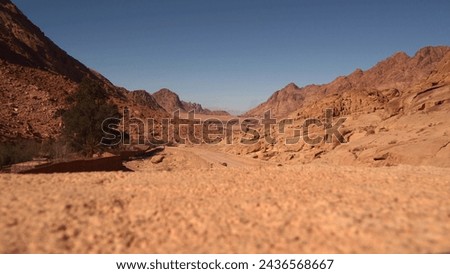 Lifeless Sinai Mountains in Egypt.