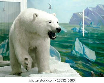 507 Bear snarl Images, Stock Photos & Vectors | Shutterstock