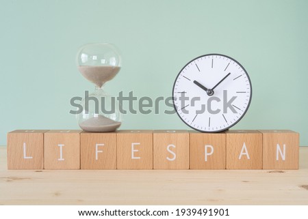 LIFESPAN; Eight wooden blocks with 