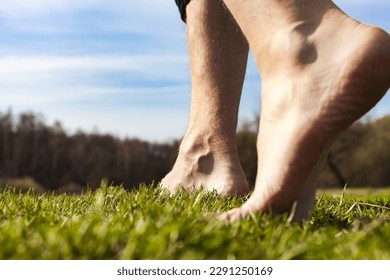 El estilo de vida descalzo camina sobre la hierba en el sauce