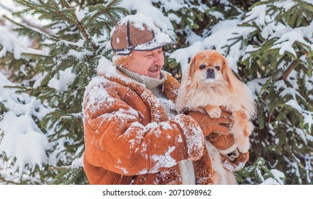 Lifestyle Of Older Man On Retired With A Dog, Senior Man At Winter Snowy Day At Nature, Recreation Concept