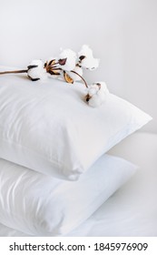 Lifestyle, Organic Coton Pillow, Health Life, Sustainable Living