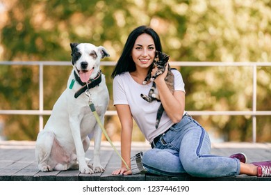  Lifestyle portrait of beautiful young brunette girl with little cat and big hound dog sitting outdoor in park. Happy cheerful smiling teen hugging lovely pets. Owner and cute animals friendship