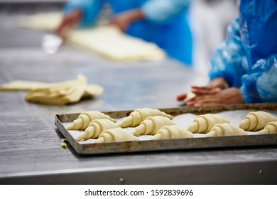 Lifestyle Reportage Photography Of A Pie And Pastry Wholesale Bakery Factory Workers Making Croissants By Hand