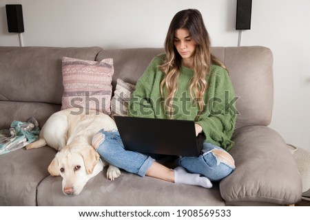 Lifestyle shot of curly blonde hair styled woman sitting confortable on a sofa while works remote from home using  his laptop with his Labrador Retriever lying next to her.