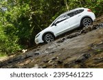 Lifestyle, travel on summer vacation with SUV 4wd adventure and exploration nature find scenery in forest, discovery white car drives into stream crossing river. Kaeng Krachan, Phetchaburi, Thailand