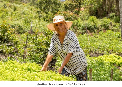 lifestyle: woman farmer harvests organic lettuce on her farm - Powered by Shutterstock