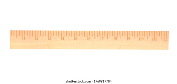 An Lifetime 12 Inch Ruler Standard