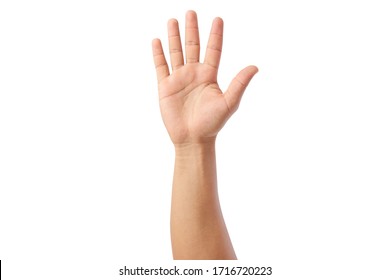 lifted hand up isolated on white background, with clipping path, concept Surrender, requesting permission - Shutterstock ID 1716720223
