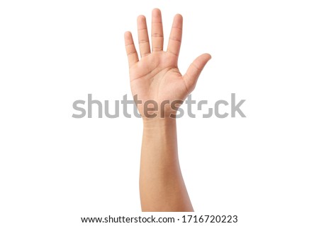lifted hand up isolated on white background, with clipping path, concept Surrender, requesting permission