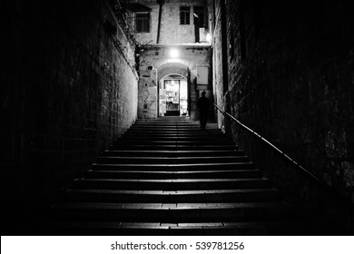 in to the light