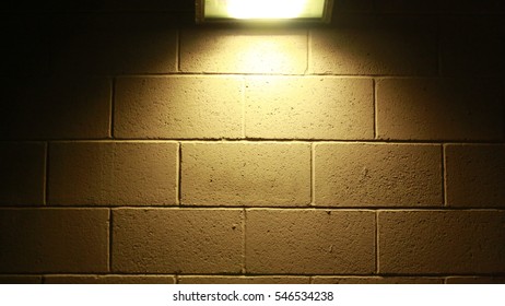 The Light