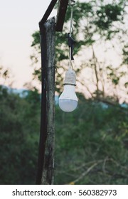 the light