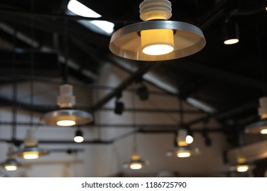 The light array