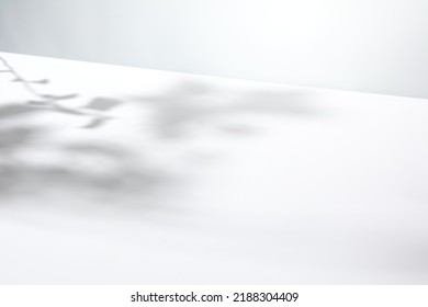 Light background with harsh shadows of tree branch. Aesthetic white background with empty place. Summer light backdrop. Nature and shadows mock up. Simple mockup. Poster presentation with shadows - Shutterstock ID 2188304409