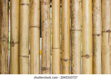 Light Bamboo Texture Using For A Background.