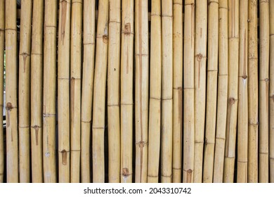 Light Bamboo Texture Using For A Background.