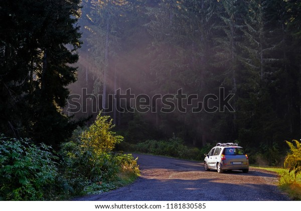 \
light beams in the forest\
and a car