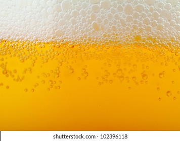 Light Beer Background