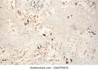 Light Beige Surface Of The Cork Wood Tile Closeup, White And Brown Mottled Texture Background, Abstract Gray Color Decorative Spotted Pattern, Dark Stains On Light Backdrop, Marmoreal Stone Art Design