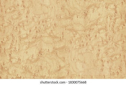 Light Birdseye Maple Veneer Texture