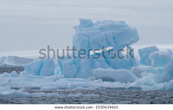 A light blue iceberg floating in the dark\
gray water of the Southern Ocean in Antarctic Sound. Overcast sky\
and a snow continent are in the\
background.