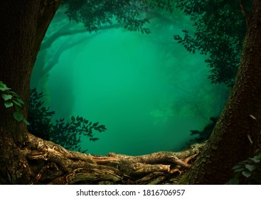 Light blue misty forest landscape framed by two trees and roots. Transparent turquoise fog and shaped branches on background