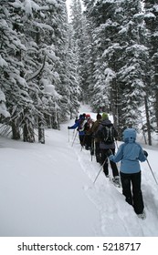 Light Blue Parka, Snowshoe Hikers In Woods,		Shrine Pass, Near Vail Pass, 	Colorado