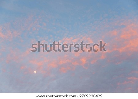 light blue sky background and delicate light pink fleecy clouds and a full moon at dawn