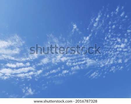 Light blue sky with drifting small white
transparent stretched,
clouds in the center (texture).

