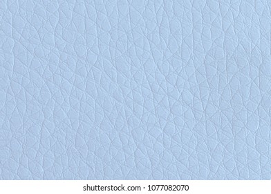 44,966 Light blue leather Images, Stock Photos & Vectors | Shutterstock