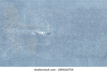 Light Blue Tanned Shagreen Stingray Skin Texture Isolated