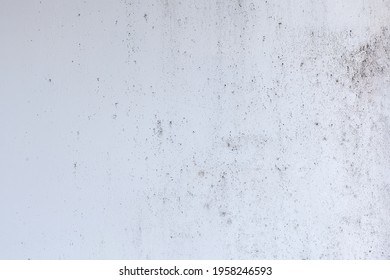 Light Blue Wall With Abstract Spots. Beautiful Gray, White Texture, Abstract Wall Surface Background, Vintage Surface Texture With Copy Space, Unusual Mottled Surface.