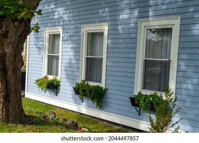 A light blue wooden horizontal clapboard covered house with a double hung pane window. The wooden trim around the window is white. A black flowerbox hangs under the window and is filled with greenery.