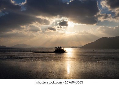 The Light Is Too Bright At Suncheon Bay.