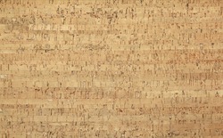Light Brown Cork-wood Panel - Background     