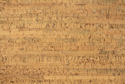 Light Brown Cork-wood Panel - Background