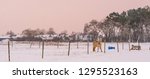 light brown horse standing in a white snowy pasture, beautiful countryside scenery with on the village