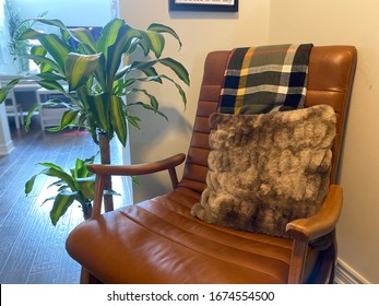 Light Brown Leather Couch With Brown Fuzzy Pillow On Top And Tropical Plant Beside It.