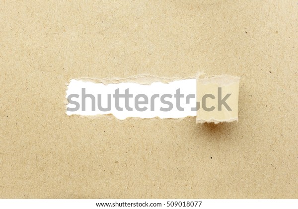 Light brown mulberry paper, ripped / torn paper with\
curled edge shows a white blank space for image or text. Template\
for sale promo, advertising, graphic design, printed media, layer\
montage, etc
