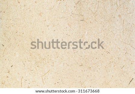 light brown rice mulberry flower rough paper petal and seed texture / recycle paper / craft or hand made paper / natural and eco friendly material