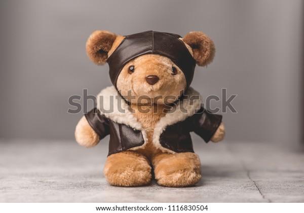 teddy bear pilot outfit