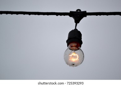 Light Bulb
