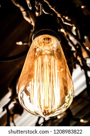 Light bulb close up