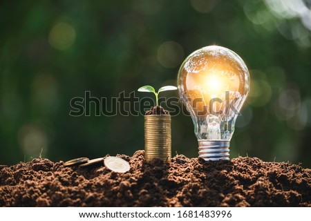 Light bulb with coins beside and young plant on top concept put on the soil in soft green nature background.