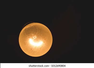 light bulb in the dark